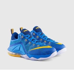 Lebron James XXI Athletic Sneaker 724557-484 sz 12